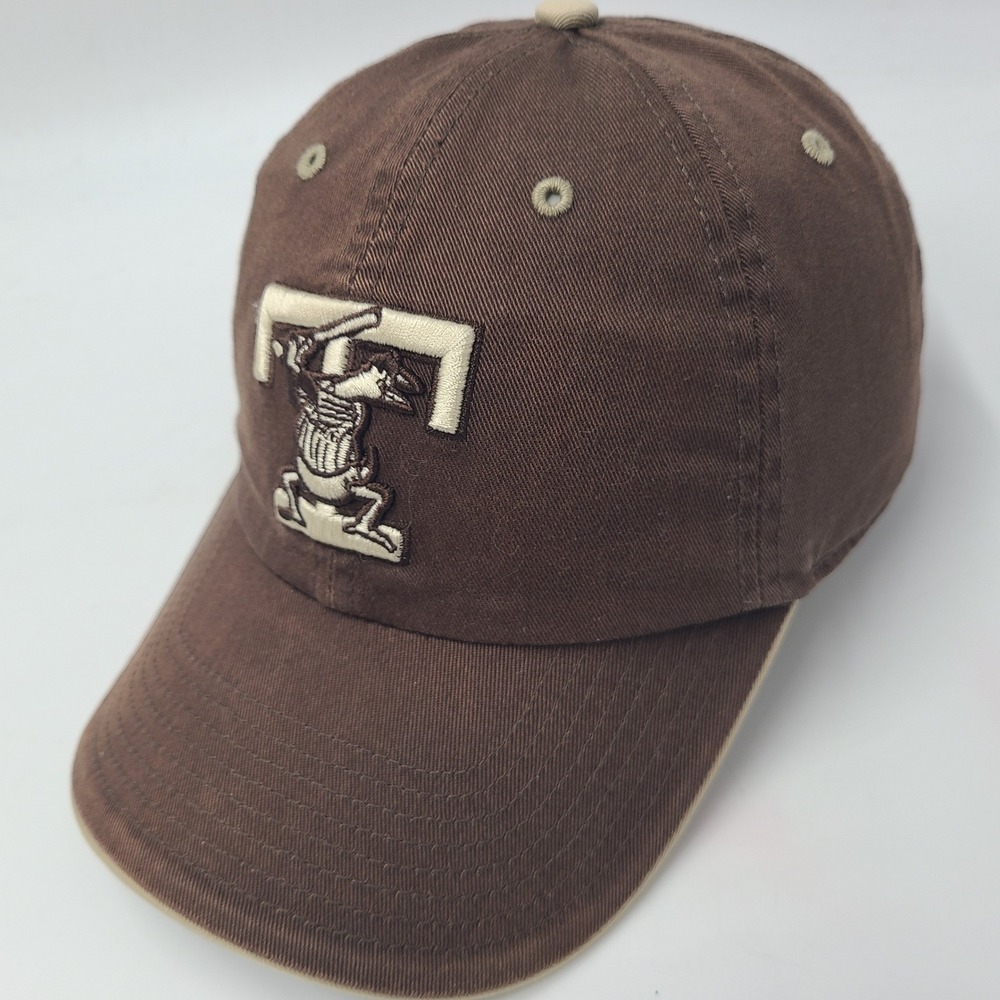 Toledo Mud Hens Hat Strapback Twins Enterprise Brown Beige MiLB Baseball Men